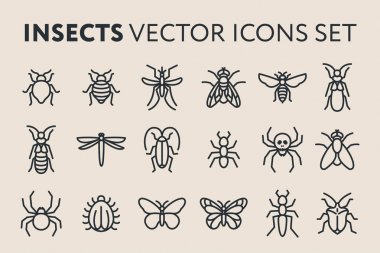 Böcek Vektör Düz Çizgi Simge Çizim Seti. Yatak Böceği, Sinek, Yusufçuk, Karınca, Hamamböceği, Hamamböceği, Sivrisinek, Termit, Örümcek, Kelebek, Arı, Eşek Arısı.