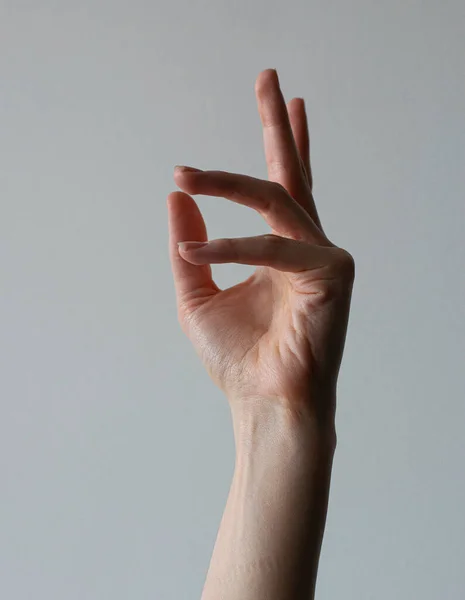 Vrouw Vrouwelijke Hand Arm Palm Vuist Geïsoleerde Houdingen Posities Natuurlijk — Stockfoto