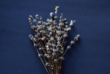 Kurutulmuş lavanta çiçekleri koyu arka plan üzerinde.