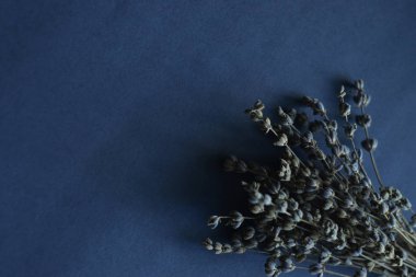 Kurutulmuş lavanta çiçekleri koyu arka plan üzerinde. 