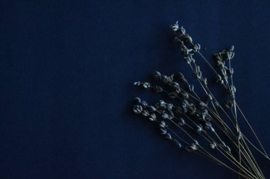 Kurutulmuş lavanta çiçekleri koyu arka plan üzerinde. 