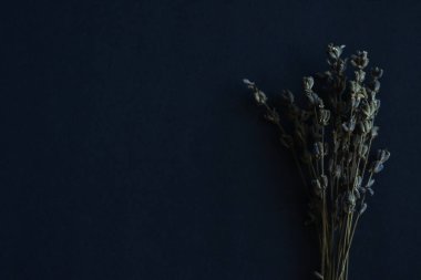 Kurutulmuş lavanta çiçekleri koyu arka plan üzerinde. 