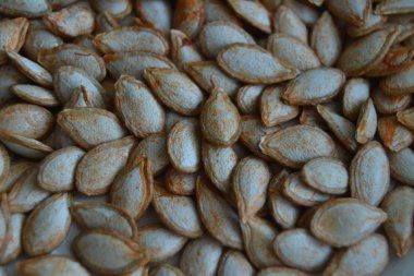 Beyaz arka plan üzerinde kuru kabak çekirdeği