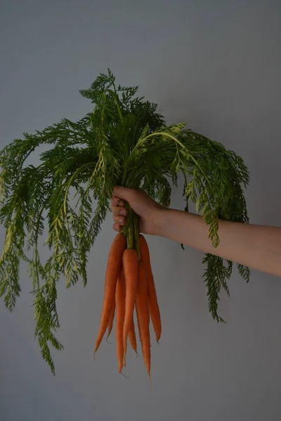 Mujer Sosteniendo Montón Zanahorias Orgánicas Frescas Chica Pelo Largo Sonriente —  Fotos de Stock
