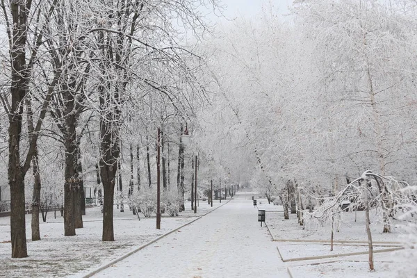 Karla Kaplı Park Yolu — Stok fotoğraf