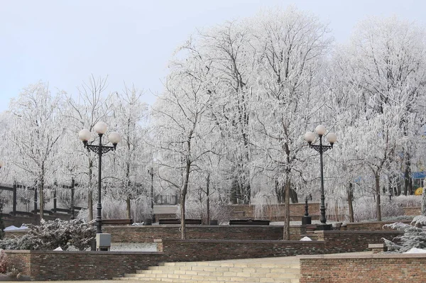 Karla Kaplı Şehir Parkı Resmi — Stok fotoğraf