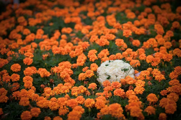 Weißer Hochzeitsstrauß Zwischen Orangefarbenen Ringelblumen — Stockfoto