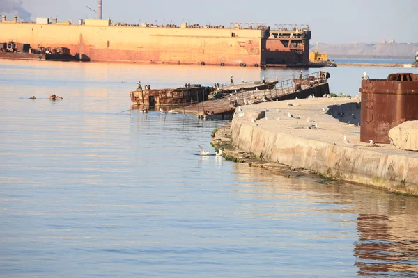 Чайки Затонулого Баржа Морському Порту Азовського Моря Маріуполь — стокове фото