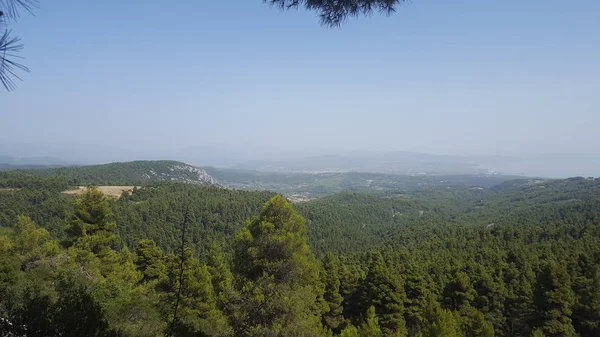 Güzel vadi ve orman ağaçları Europe/Mediterranean/Yunanistan Hill aralığı