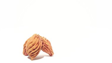 Beyaz arka plan üzerinde meyve çukurları. Sanatsal şekil tasarım. Nektarin şeftali tohumu.