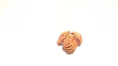 Beyaz arka plan üzerinde meyve çukurları. Sanatsal şekil tasarım. Nektarin şeftali tohumu.