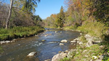Calm Flowing Autumn River in North America Canada.  Fall Season Landscape. clipart