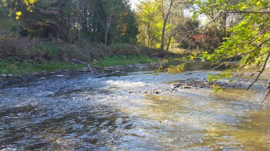 Sakin akan sonbahar Nehri Kuzey Amerika Kanada. Sonbahar sezonu manzara.
