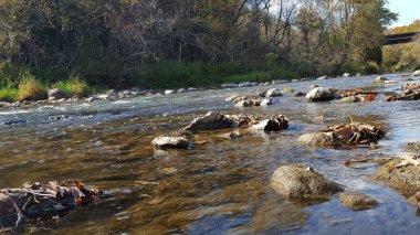 Sakin akan sonbahar Nehri Kuzey Amerika Kanada. Sonbahar sezonu manzara.