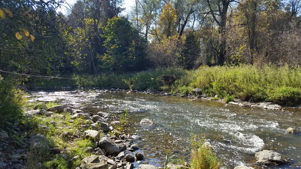 Sakin akan sonbahar Nehri Kuzey Amerika Kanada. Sonbahar sezonu manzara.