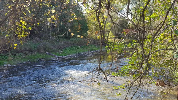 Sakin akan sonbahar Nehri Kuzey Amerika Kanada. Sonbahar sezonu manzara.