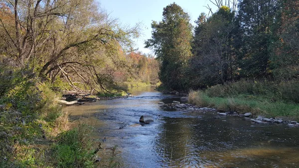 Sakin akan sonbahar Nehri Kuzey Amerika Kanada. Sonbahar sezonu manzara.