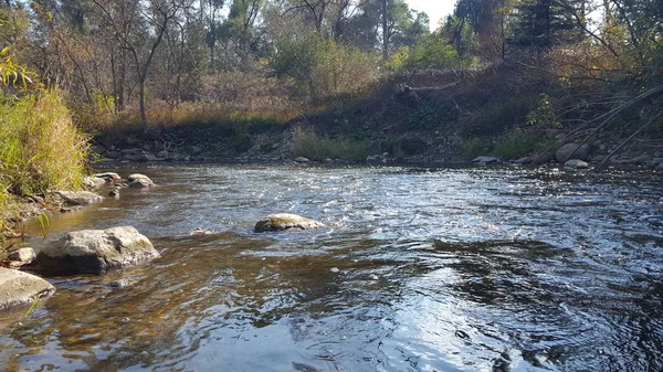 Sakin akan sonbahar Nehri Kuzey Amerika Kanada. Sonbahar sezonu manzara.