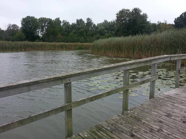 Boardwalk gölet. Hiking dışarı bataklık gölet Kuzey Amerika'nın önde gelen iz.