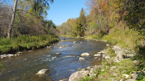 Calm Flowing Autumn River North America Canada Inglés Paisaje Temporada Imágenes de stock libres de derechos