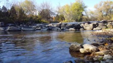 Somon Balık merdiven adım. Sonbahar sonbahar sezonu Nehri Kuzey Amerika'da Fishway geçişte