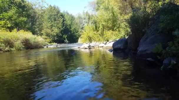 Pulito Fiume Tranquillo Che Scorre Sotto Ponte Con Traffico Sopra — Video Stock