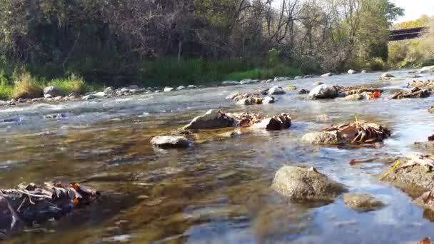 North American River Met Spoorbrug Spoorbrug Achtergrond — Stockvideo