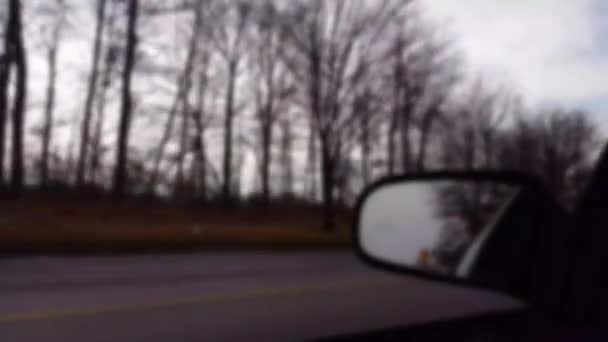 ドライバーの側面図です ぼかし効果を持つ昼間のツリー付近運転 サイドビューのミラー — ストック動画