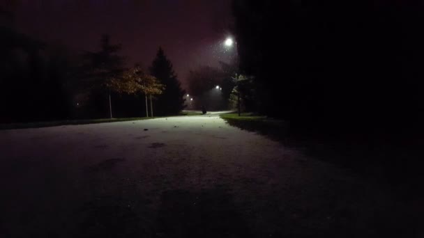 Chute Neige Légère Dans Parc Nuit Neigement Léger Avec Vent — Video