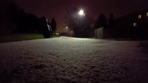 Lichte Sneeuw Vallen Het Park Nachts Licht Sneeuwt Met Weinig — Stockvideo