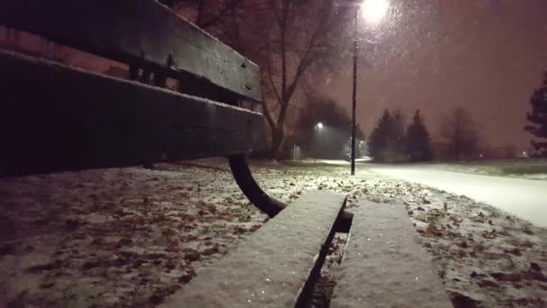 Noite Nevada Parque Vista Banco Ponto Vista Bonito Neve Noite — Vídeo de Stock