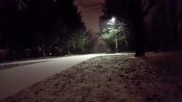 Snöig Natt Parken Vacker Kväll Snöar Visa Natt Snöfall Viewpoint — Stockvideo