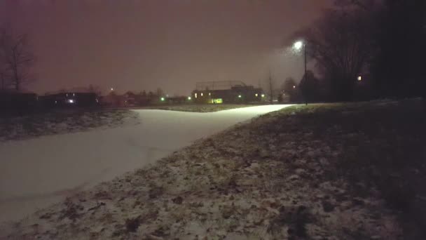 Снежная Ночь Парке Взгляд Стороны Ночной Снегопад — стоковое видео