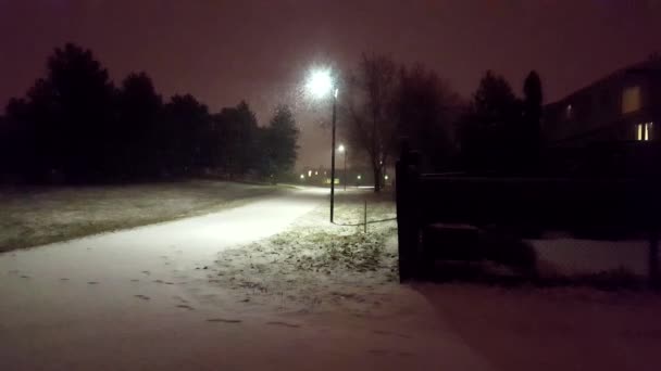 Besneeuwde Nacht Het Park Mooie Avond Sneeuwt Weergave Nacht Sneeuwval — Stockvideo