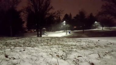 Park Bahçesi boyunca karlı gecede. Güzel görünüm kar yağışı akşam. Gece kar yağışı bakış açısı.