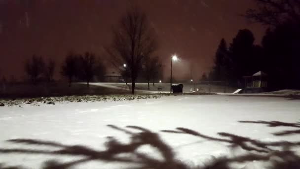 Zasněžené Noci Parku Podél Hřiště Krásný Večer Sněžení Pohled Noční — Stock video