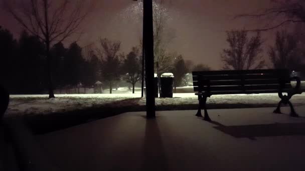 Zasněžené Noci Parku Podél Hřiště Krásný Večer Sněžení Pohled Noční — Stock video