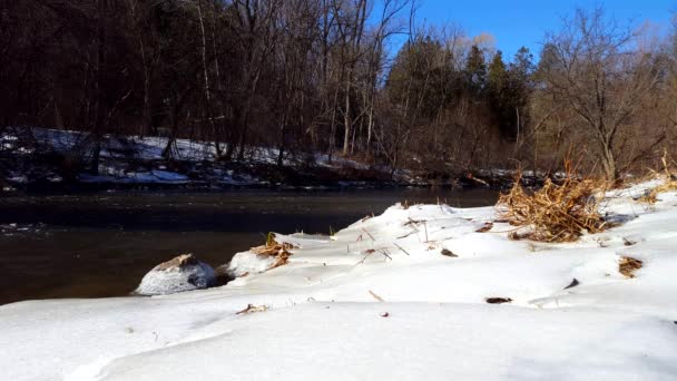 Snowy Bank River Winter Cold Water Flowing Riverside Snow Surrounded — Stock Video