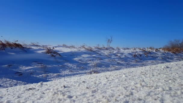 雪風突風と道路の側のフィールドから雪の吹きだまり カメラに向かって吹雪光の翼 — ストック動画