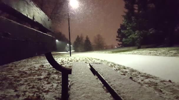 从板凳上看公园的雪夜 美丽的夜晚从公园的长椅上吃零食 夜间降雪 — 图库视频影像