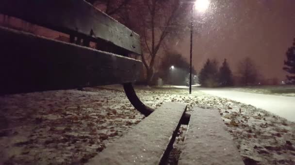 Snöig Natt Vyn Park Från Bänken Vacker Kväll Snöar Viewpoint — Stockvideo