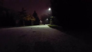 Hafif kar gece parkta olur. Işık ile düşük rüzgar kar yağıyor. Sezon düşen ilk kar.