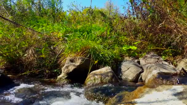 Ein Plätschernder Bach Neben Sattgrünem Gras Und Flusssteinen Nahaufnahme Eines — Stockvideo