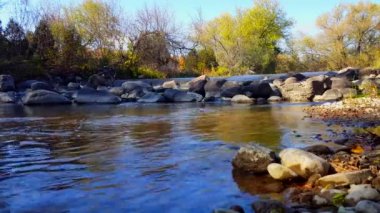 Nehir Falls balık büyük Boulder Rocks Behind adım. Güzel orman ile çevrili su kanalında basit balık merdiven.
