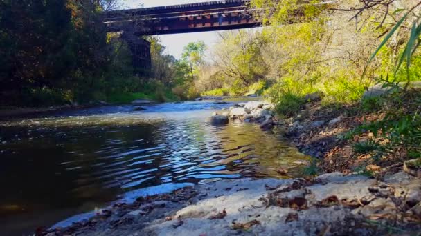 Beautiful Flowing River Water Riverside Forest Railroad Bridge Sunny Riverbank — Stock Video