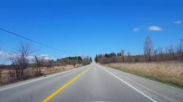 春の日に田舎を運転 美しい日当たりの良い田舎道に沿ってビューポブのドライバーポイント — ストック動画