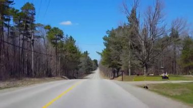 Bahar günü kırsal orman sürüş. Güzel Sunny Woodland Ağaçlar Sahne Boyunca Bakış Pov Sürücü Noktası.