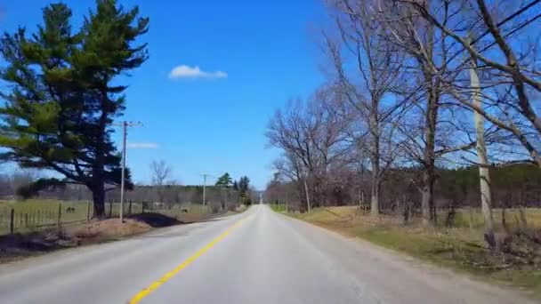 Dirigir Estrada Rural Longo Animais Terras Agrícolas Durante Primavera Europa — Vídeo de Stock