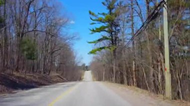 Bahar günü kırsal orman sürüş. Güzel Sunny Woodland Ağaçlar Sahne Boyunca Bakış Pov Sürücü Noktası.