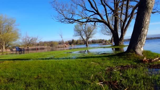 自然中水位不断上涨 气候变化结果 洪水公园后风暴在一天 湖水淹没到自然公园长椅 — 图库视频影像